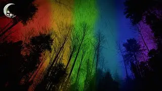 RAIN COLOUR CHANGE Sleep Sounds &middot; Relaxing Night Light Ambience, Raining Sounds For Sleeping