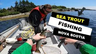 Trolling For Sea Trout In Nova Scotia | 2023 Fishing Season