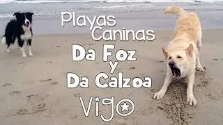 Playas Caninas de VIGO Foz y Calzoa