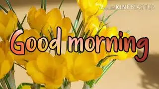 good morning images pics videos photos gifs hd wallpaper for social sharing