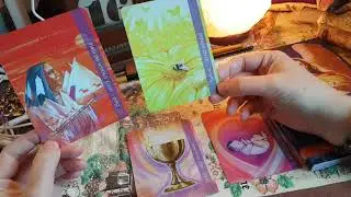 ASMR SoftTalk - Storm Dennis Oracle Cards Reading ☆ Gentle Male Voice