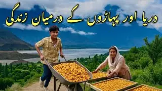 Organic Life in the Mountains of Gilgit-Baltistan | A Glimpse of Simplicity & Nature”
