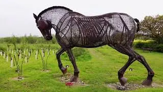 The World War I memorial entitled War Horse,