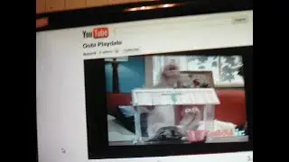 Game song has a Sparta Party Hard Remix