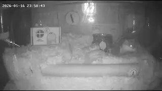 [SYSTEM] MISO: Baseline Sleep Protocol // Brown Noise ASMR (CCTV Feed)