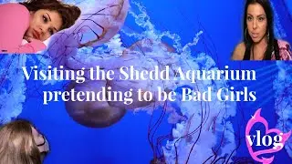 Visiting the Shedd Aquarium After Binging  Bad Girls Club