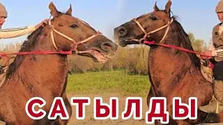 Сатылды✊️