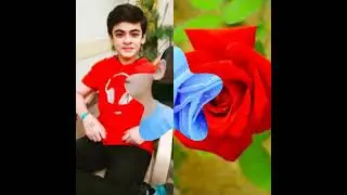 # same flower 🌺🌺 (vansh sayani MP video attitude TikTok video same  🌹🌹 (Milan kumar Yadav)360p4 % *