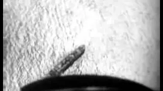 Ju 87 Stuka attack