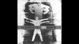 Rex Ilusivii - Mirrors