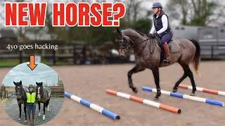 I SAID NO MORE HORSES.....  | We get my homebred 4yo hacking.