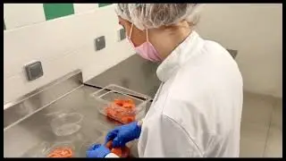 Les &eacute;l&egrave;ves de T ATMFC de l'ERDV Pleyel pr&eacute;sentent leur CAP!