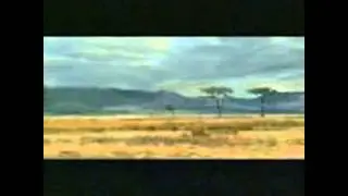 Afrika AVC Высшее качество больше