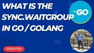 Golang | What is the sync.WaitGroup in Go / Golang
