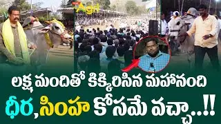 RK Bulls and DVR Bulls at Mahanandi Bulls Race 2023 | లక్షమందితో కిక్కిరిసిన మహానంది..! Tone Agri