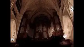 Music at St.Patrick's Cathedral N.Y.C./Powerful Organ. SEP 2014.