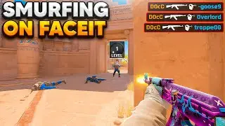 SMURFING ON FACEIT IS FUN...