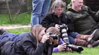 Gundog Photography Course