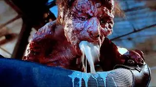 He Turned Into a Giant Fly After a Teleportation Experiment Gone Wrong | The Fly (1986) Movie Recap