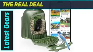 HIXX Smart Bird Feeder: Amazing AI Bird Identifier!