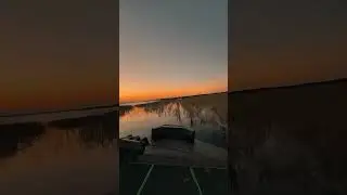 Exploring the Everglades 🌅 #sunset #duckboat #gatortailoutboards