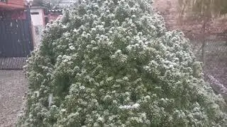 Dezembro de 2019 Fontanetto po Neve