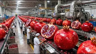 Inside the Modern Pomegranate Factory: From Fresh Fruit to Premium Juice (Full Process)