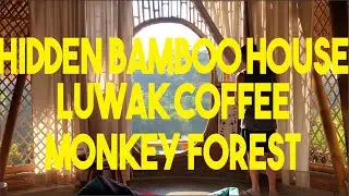Bali Indonesia - Hidden Bamboo house Tampaksiring Monkey Forest Luwak Coffee Babi Guling Kuta Beach