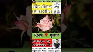 Rose || Botanical name || Biology by KD Sir