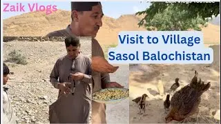 Visit to Village Sasol Balochi | Village Life Of Balochistan | Zaik Vlogs | Vlog |
