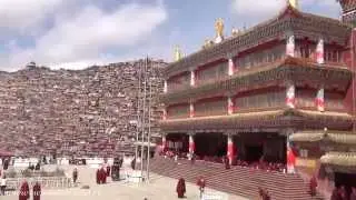 Sertar nigu side/ Сертар Ларунг Гар женская половина