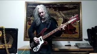 NUCLEAR ASSAULT The Plague - Bass Cover