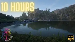 Soothing Sound of Water Lapping on the Lakeshore, Relaxing Nature Sounds - Calm Relaxation 10 Hours