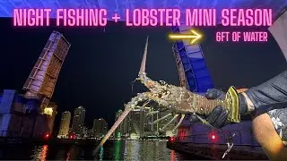 Fishing + Lobster MINI SEASON is Here!