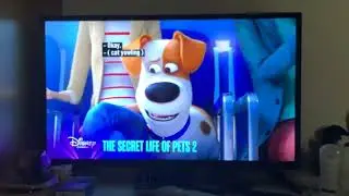 Disney Channel - The Secret Life of Pets 2 Promo + Elio (2025) TV Spot