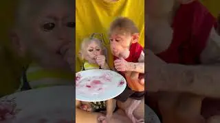 Baby eat chery
