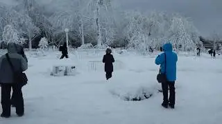 Frozen Niagara Falls January 2018