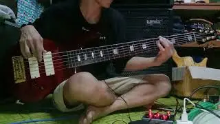 วัดใจ - Silly Fools (Bass Cover) & Spector Euro LX6 EMG 45 DC Test