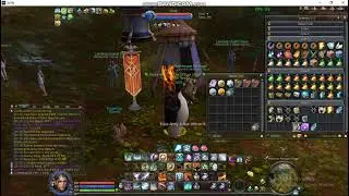 PRIME TEMP HELM