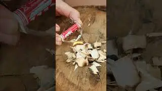 Life-Changing Outdoor Trick! 🌲😱 You NEED to Know This