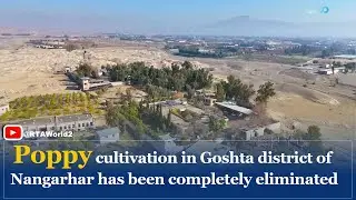 Poppy cultivation in Goshta district of Nangarhar has been completely eliminated