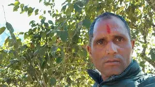 Nature beauty uttarakhand village.