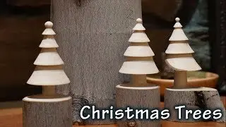 Emerging Christmas Tree