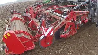 4 row Dewulf harvesting potatoes.