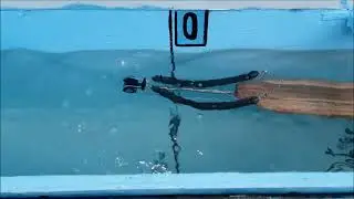 PESCA SUB: Arbalete prototipo. roller invert./oleopneumatico.