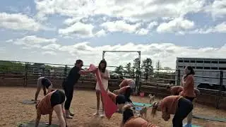 Teaching Bachelorette goat yoga at the community farm.