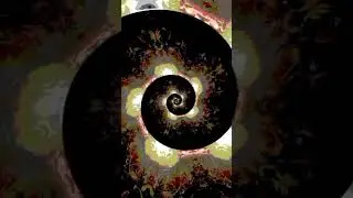Prog Rock #shorts #rockprogressivo #spacerock