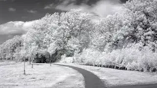Surrealism Photography Infrared (850nm and 720nm) - Stellardrone - Ultra Deep Field
