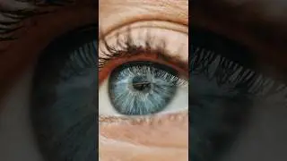 Why do humans blink the eyes ? |Phenomenon Wanderer #facts #interestingfacts #interestingstuff