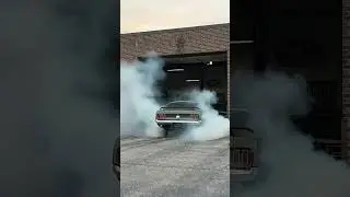 Mustang 1969 года | ASMR-звук двигателя | #зверь